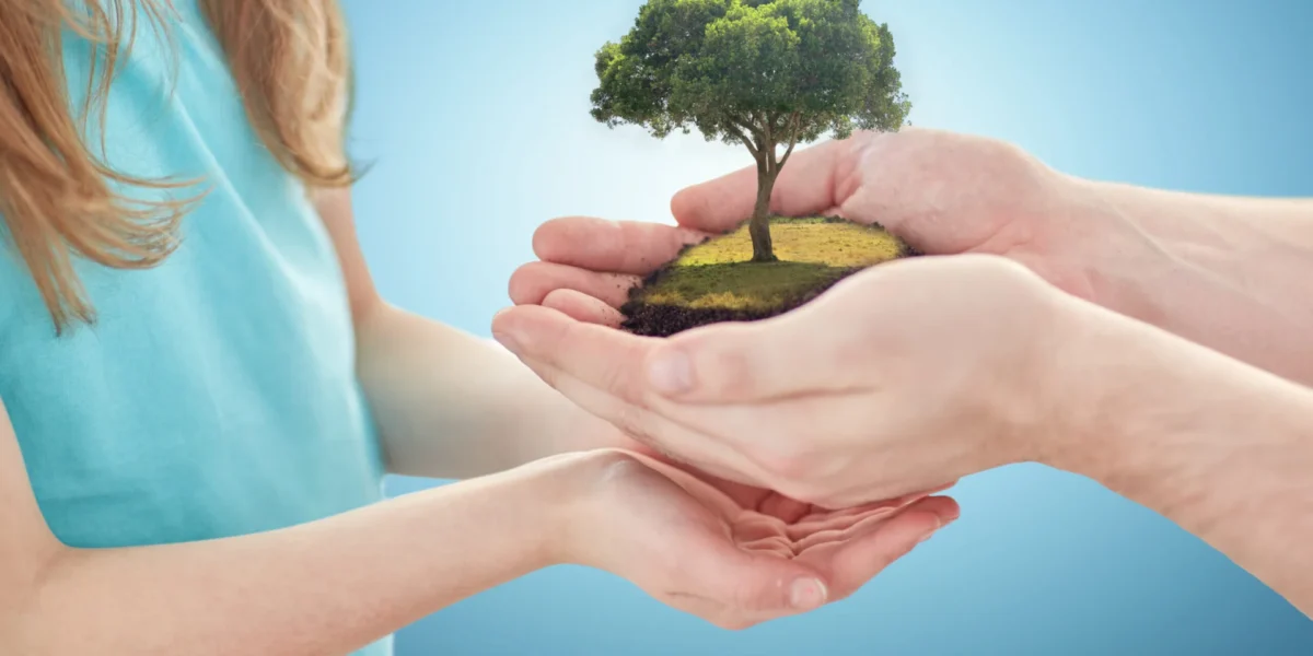 close up of father and girl hands with oak tree