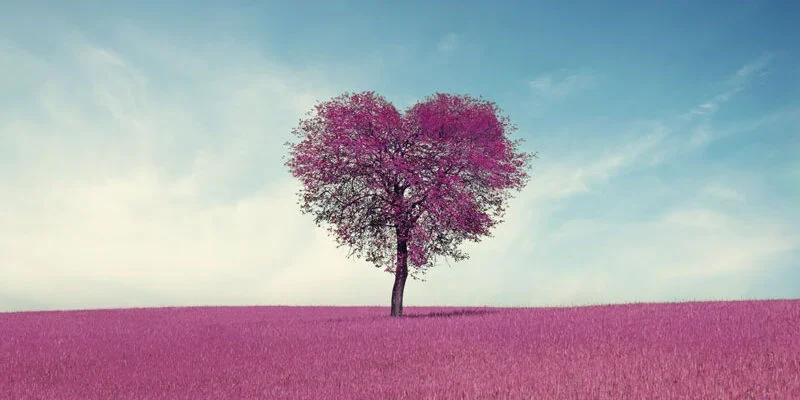 Spring Relationships